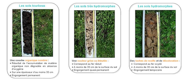 Extrait Guide d'identification des zones humides (SAGE Mayenne – 2009)