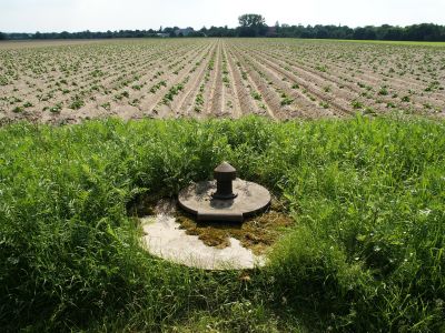 agriculture-92372_1920