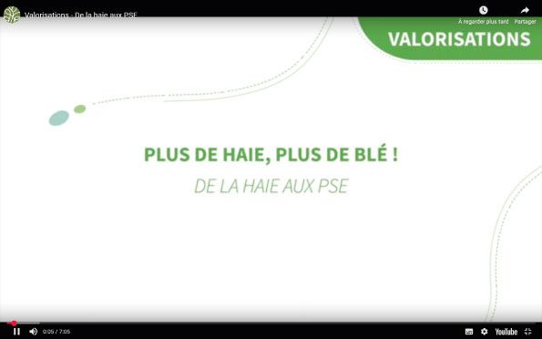 Valorisations – De la haie aux PSE