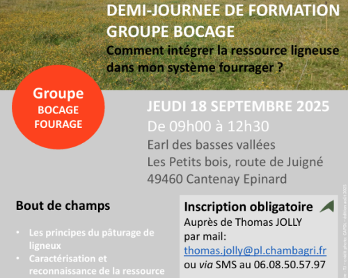 18 septembre à Cantenay Epinard