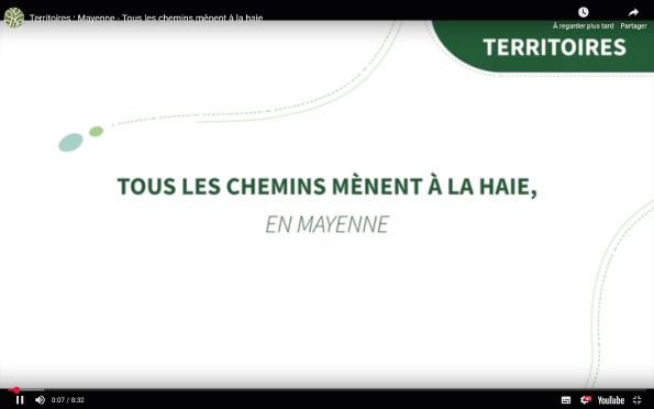 Tous les chemins mènent à la haie