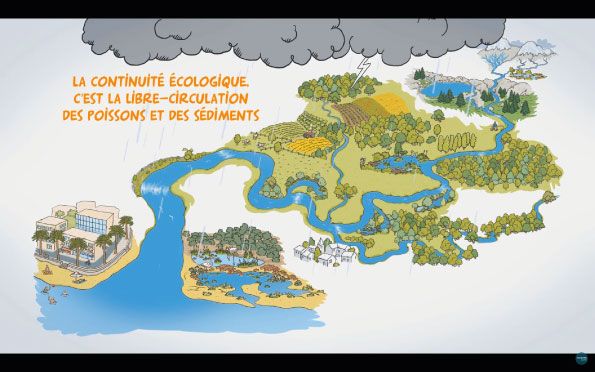 Redonnons libre-cours à nos rivières !