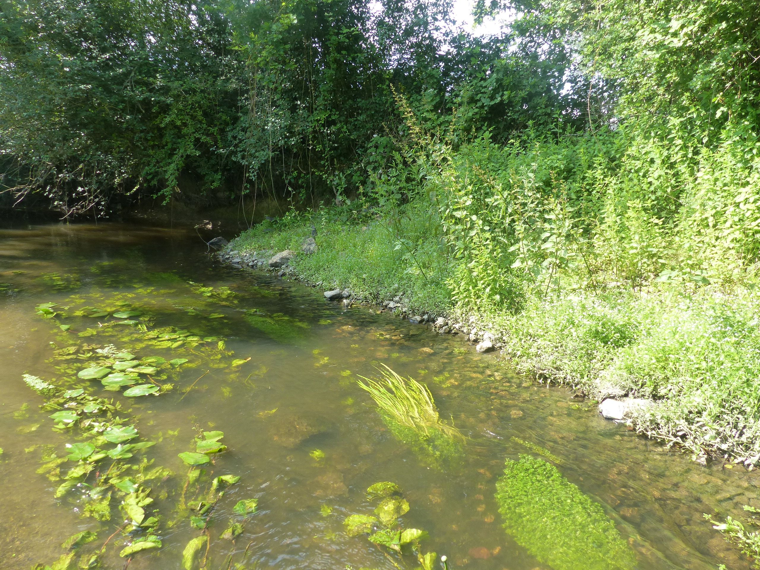 Bassin de l'Oudon