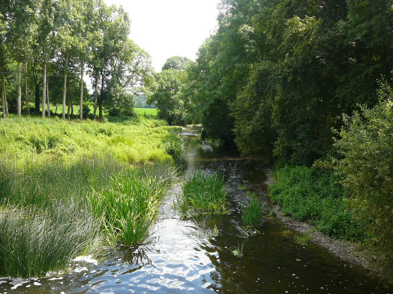p1120042