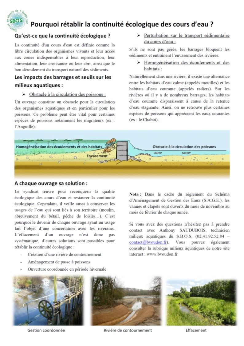 article_them_cont_ecolo