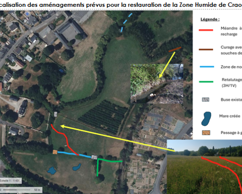 projet_de_restauration_zone_humide_de_craon