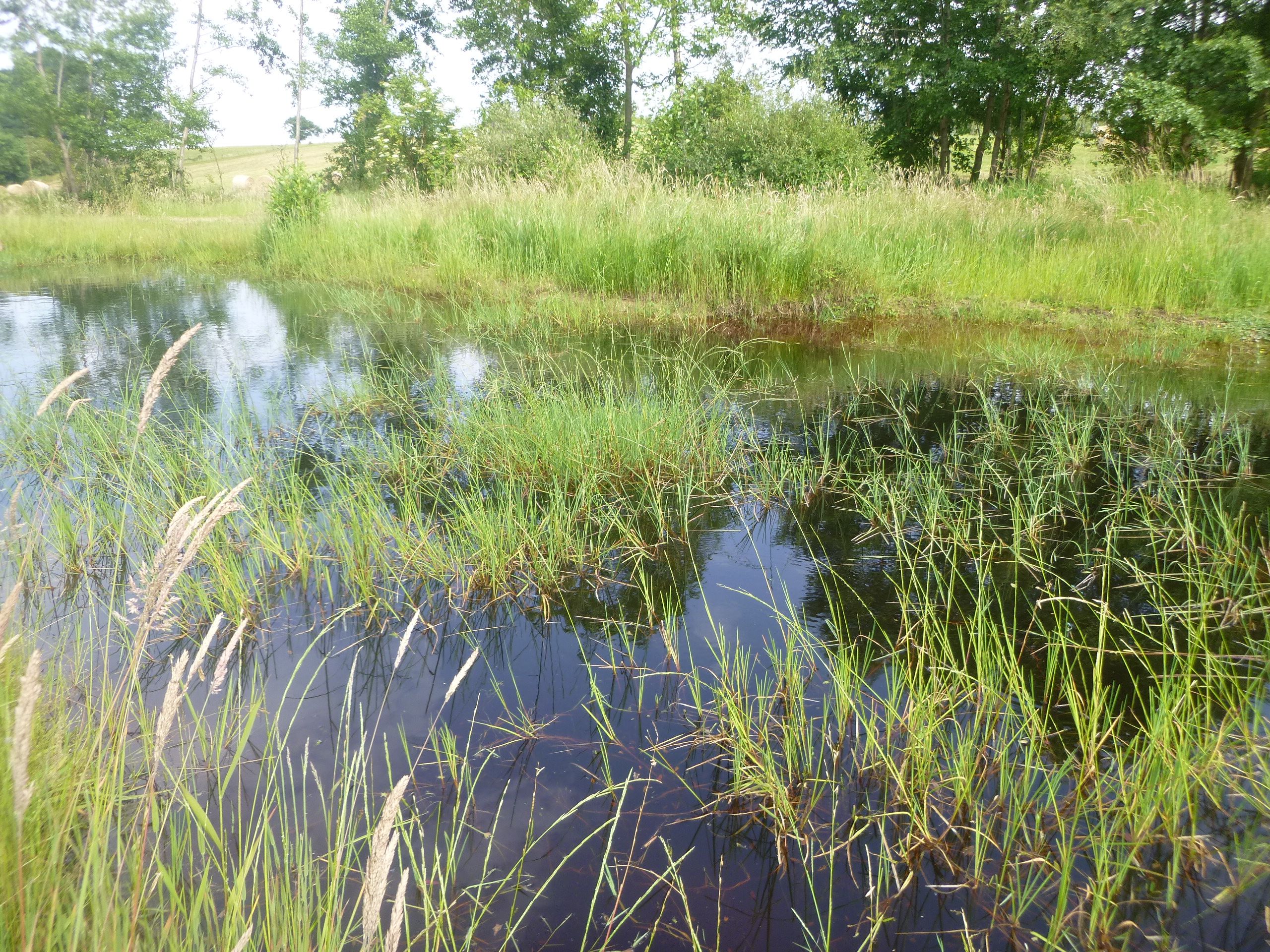 Bassin de l'Oudon