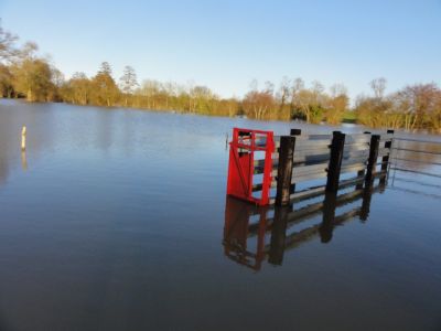 parc_a_betes_inonde