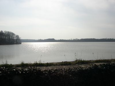 etang_de_la_blisiere1