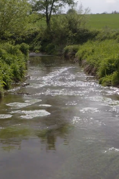 Le bassin de l&rsquo;Oudon en action : bilan du Contrat Territorial Eau 2020-2025