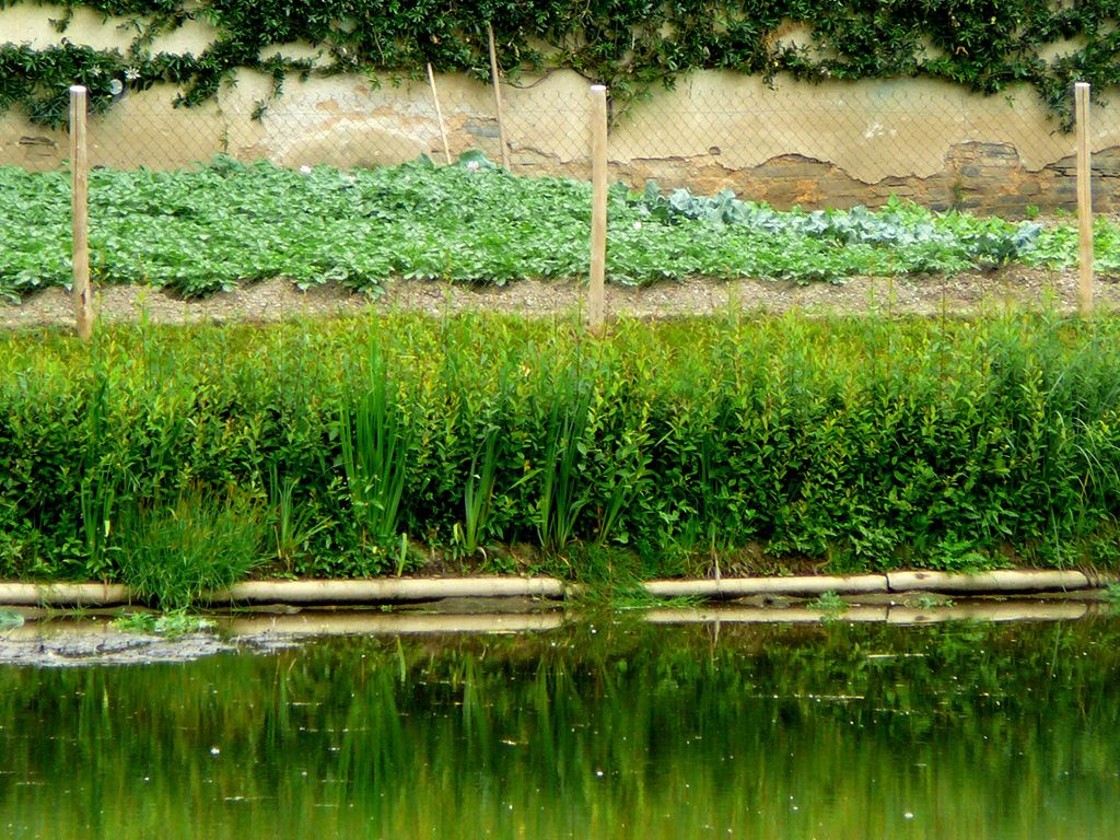 p1070351