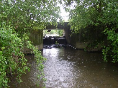 langeviniere_2