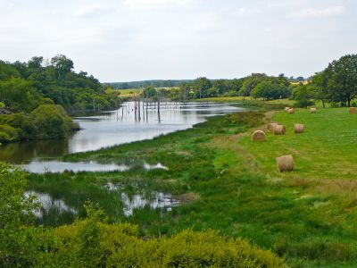 etang-des-landes