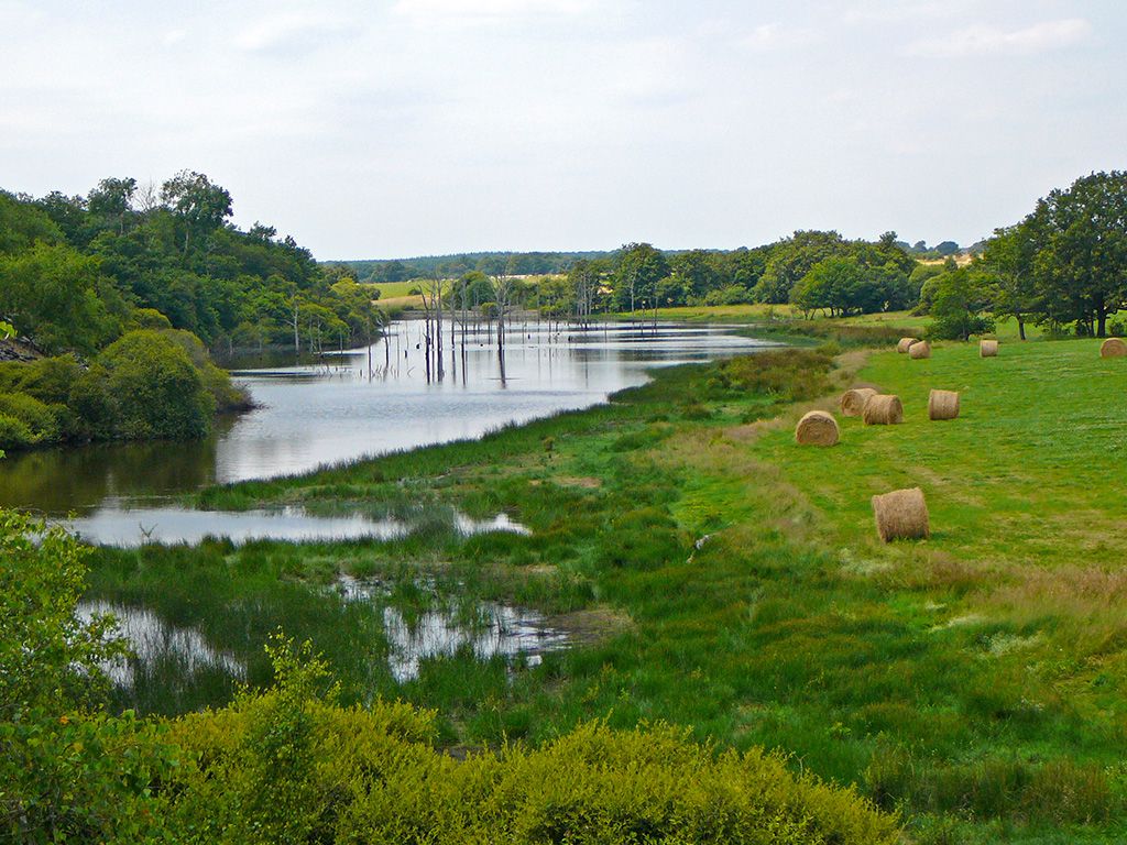 etang-des-landes