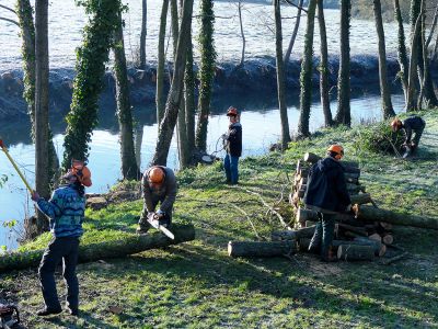 2013-travaux-realises-par-lasdies-et-promo-travail-sur-loudon-a-nyoiseau