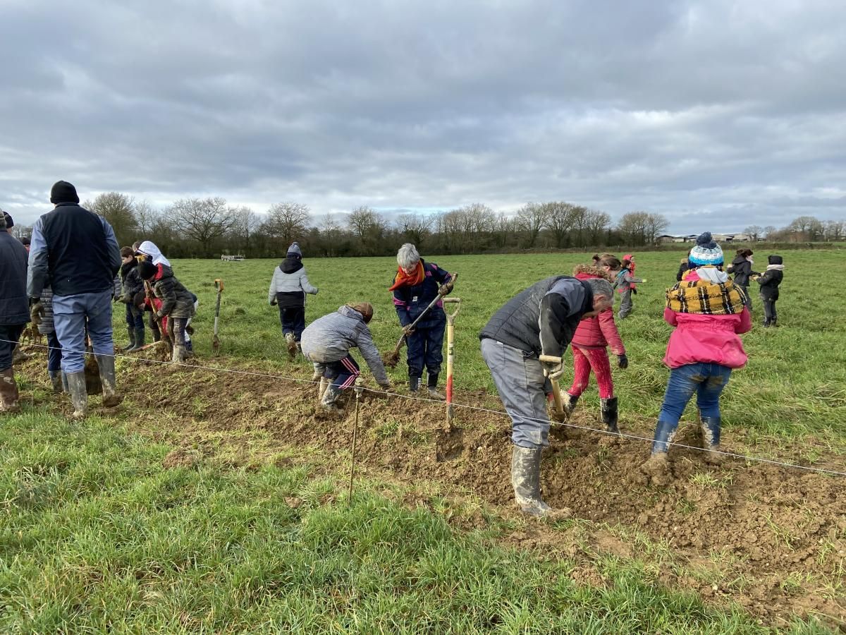 Plantations de haies - Janvier 2023
