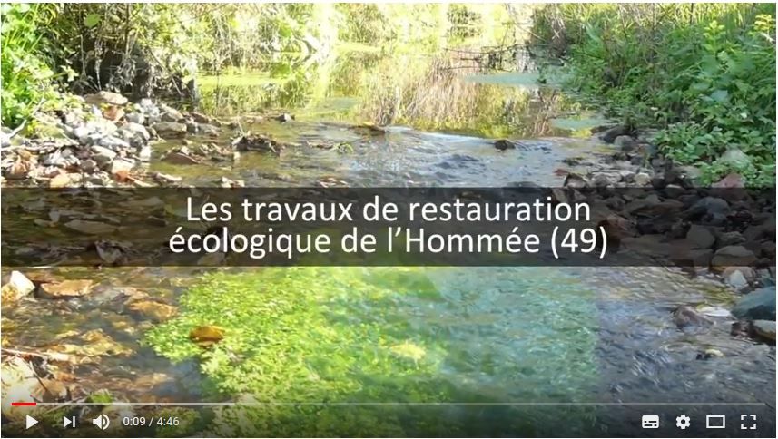 Les travaux de restauration écologique de l’Hommée
