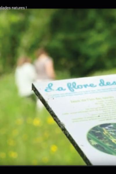L’Oudon en Poche : votre dépliant des balades nature !