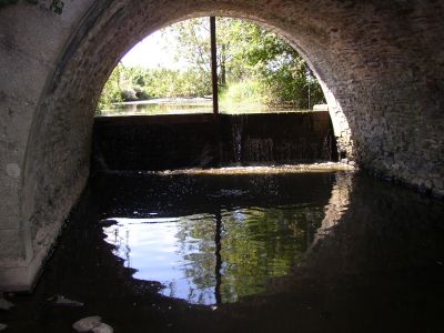 p1010132
