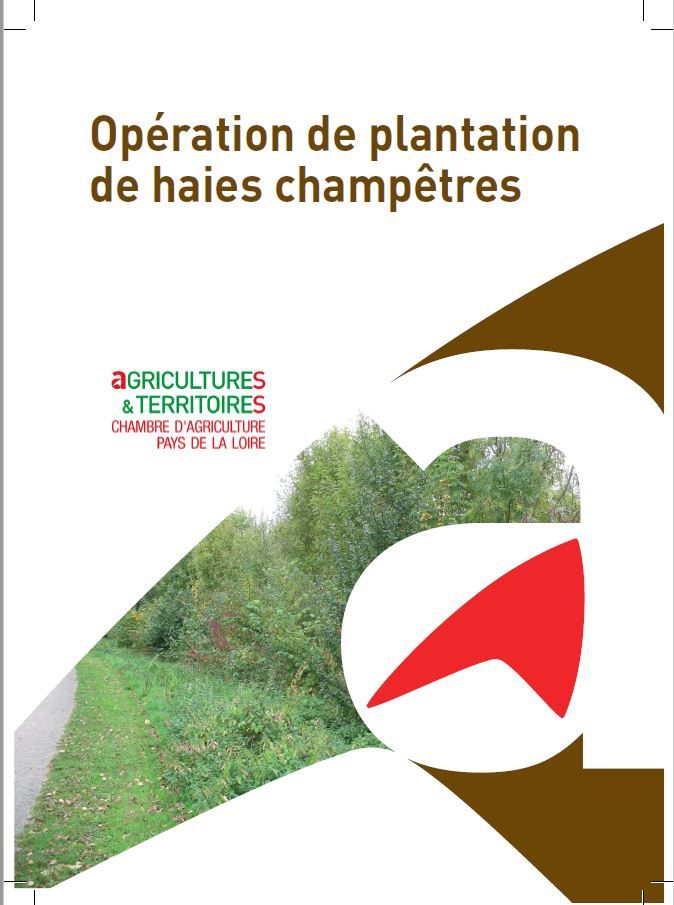 flyer_haie