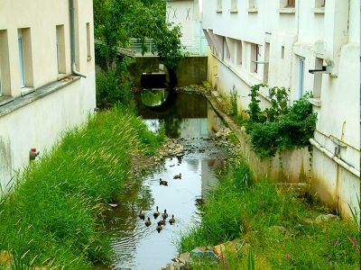bvoudon-sud-20