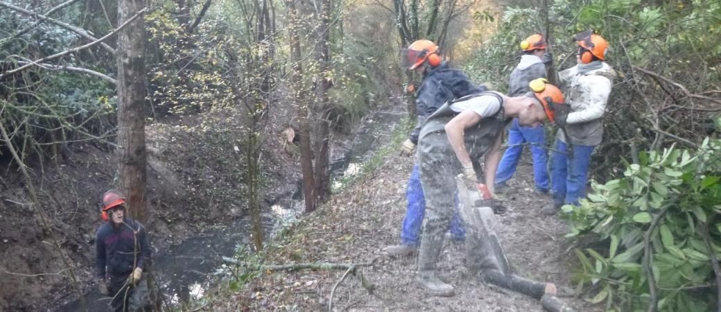 lequipe_de_lasdies_en_action_compress