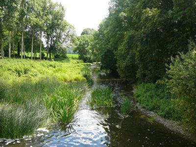 p1120042