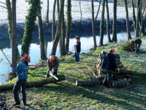 2013-travaux-realises-par-lasdies-et-promo-travail-sur-loudon-a-nyoiseau