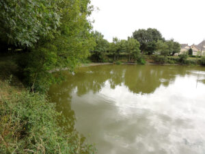 etang-du-lavoir1