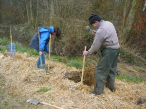 plantations_sur_la_sazee