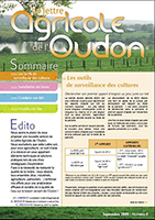 lao8
