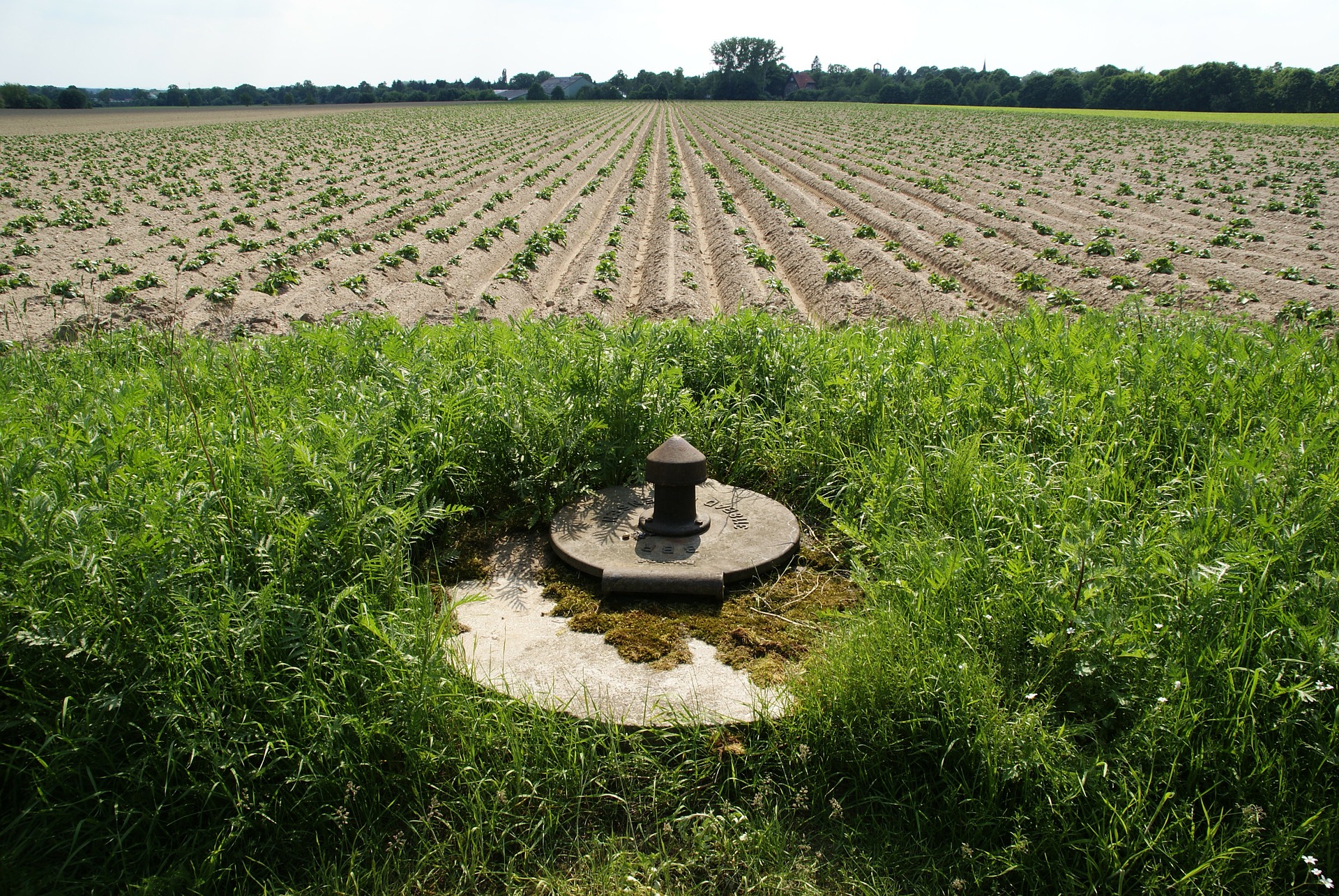 agriculture-92372_1920