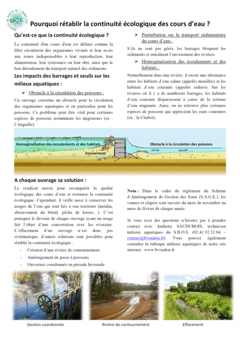 article_them_cont_ecolo