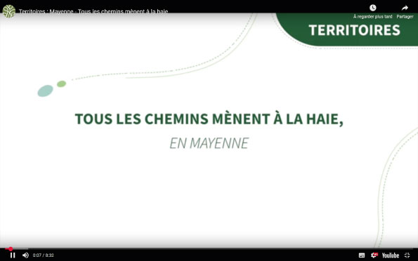 Tous les chemins mènent à la haie
