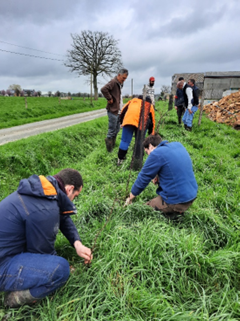 Mise en pratique des pratiques des tailles de haies