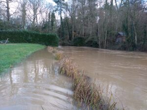 img_20250109_110335