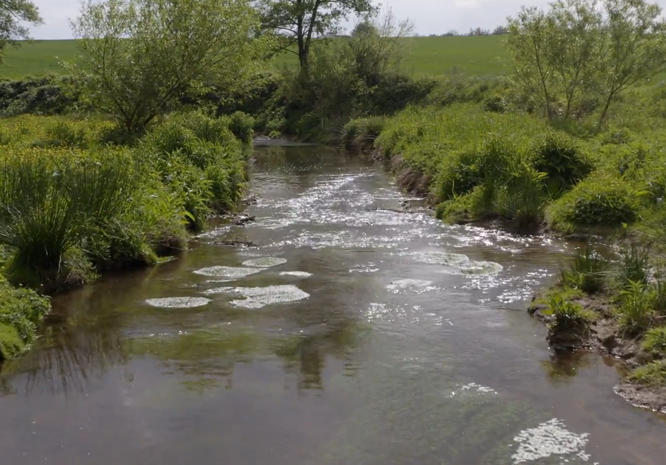 Le bassin de l’Oudon en action : bilan du Contrat Territorial Eau 2020-2025